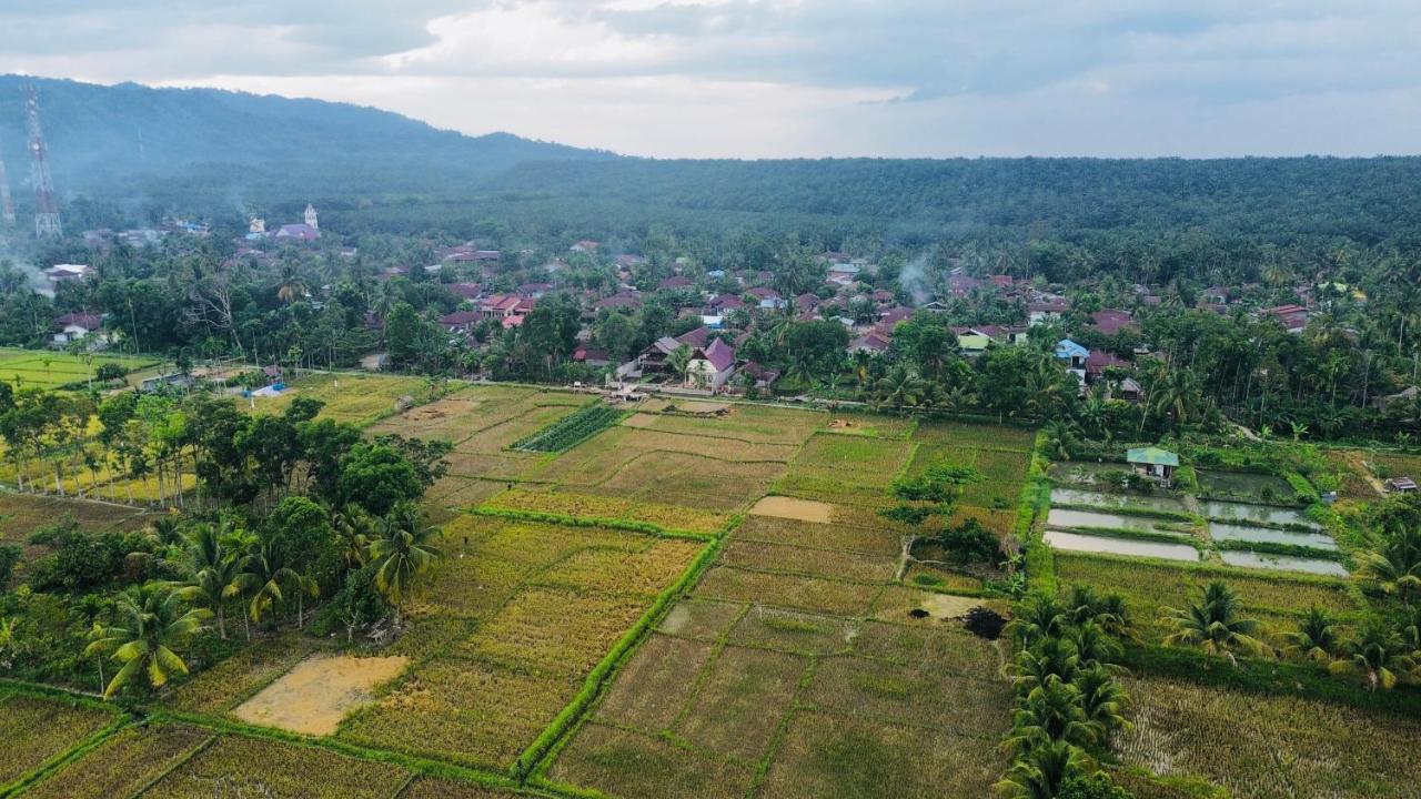 Sumatra Expedition Lodge Букит-Лаванг Экстерьер фото