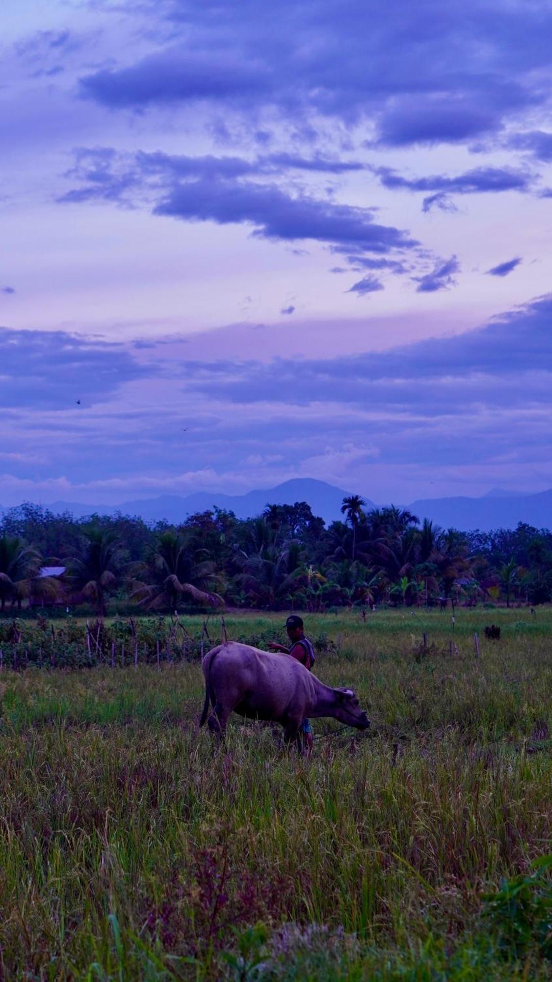 Sumatra Expedition Lodge Букит-Лаванг Экстерьер фото