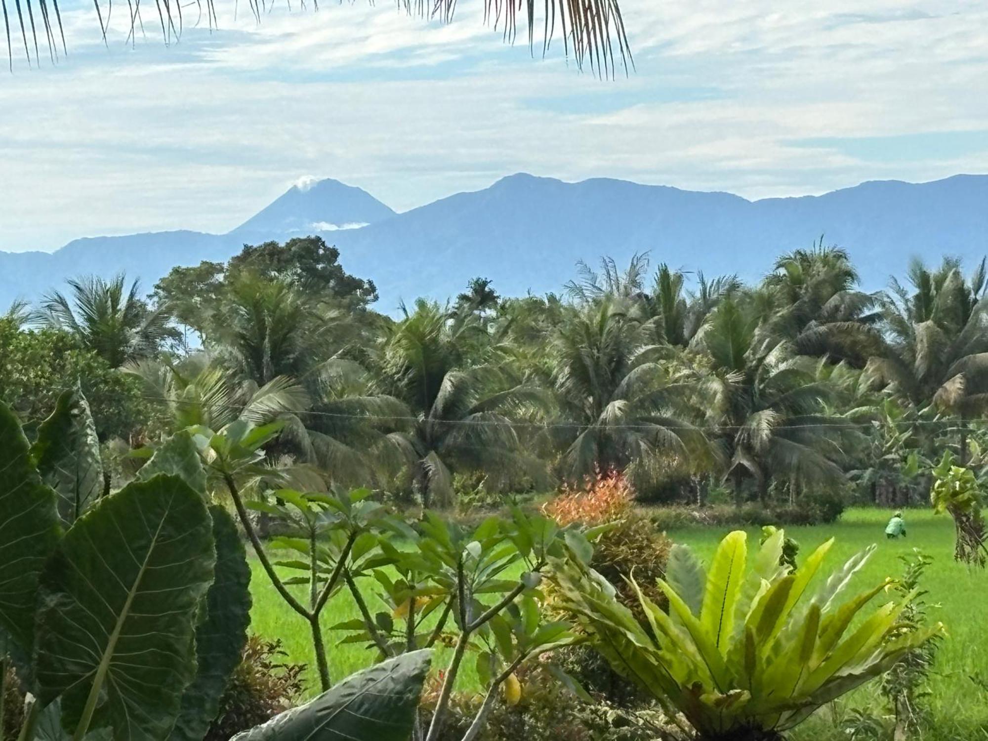 Sumatra Expedition Lodge Букит-Лаванг Экстерьер фото