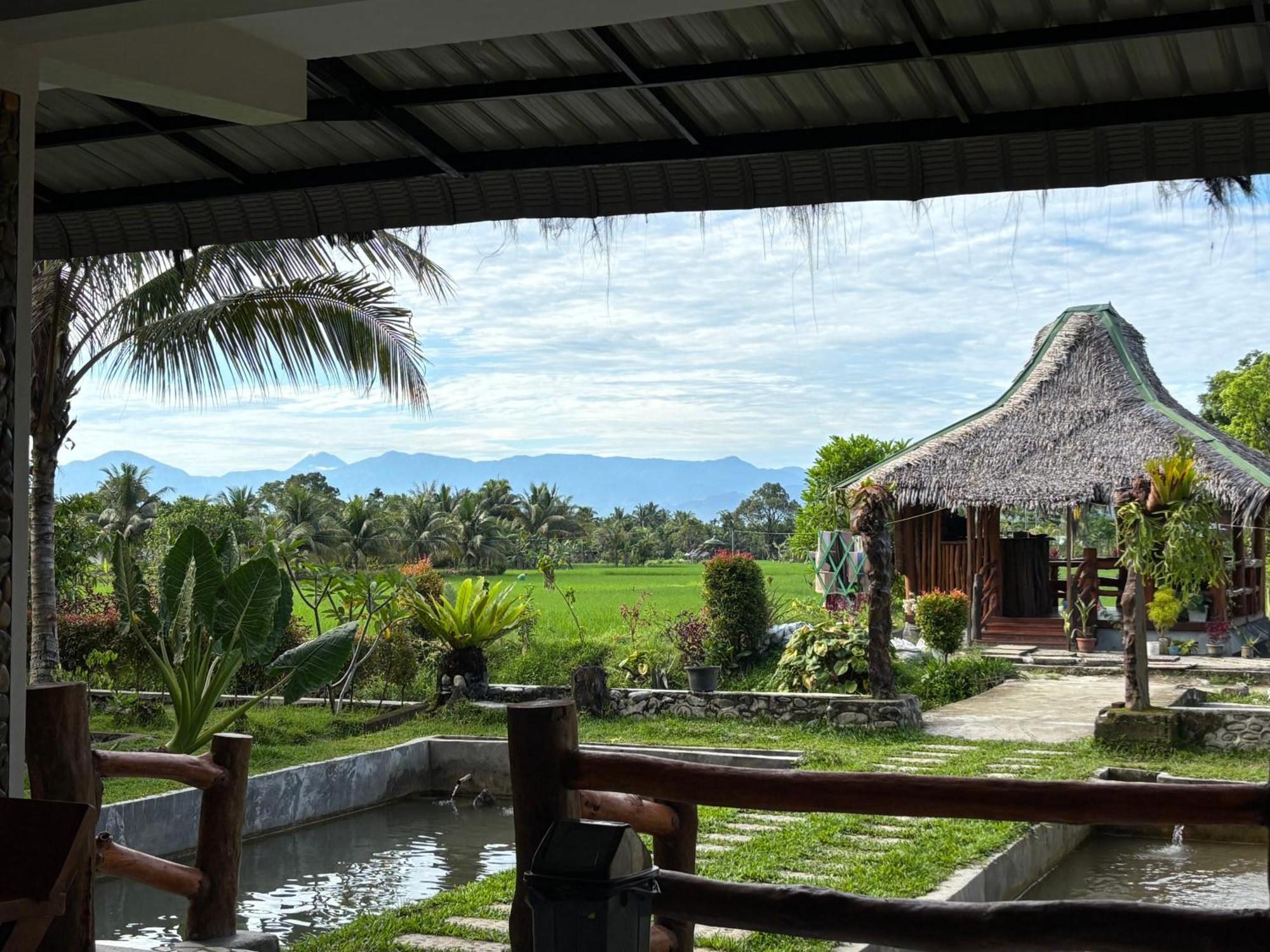 Sumatra Expedition Lodge Букит-Лаванг Экстерьер фото